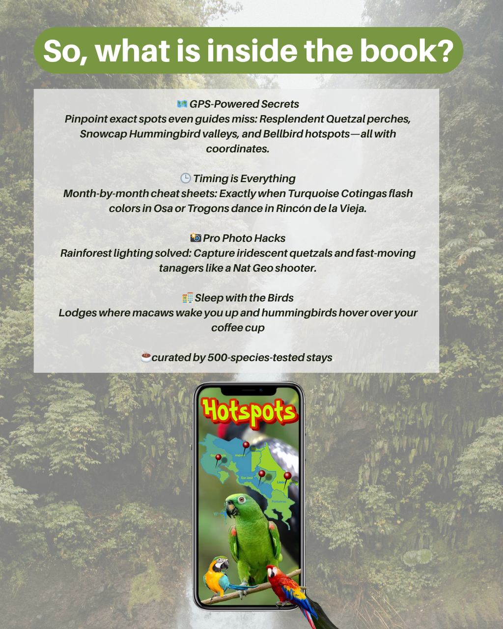 The Hidden Birds of Costa Rica: Your Ultimate Field Guide to Birding Paradise (Digital Guide)