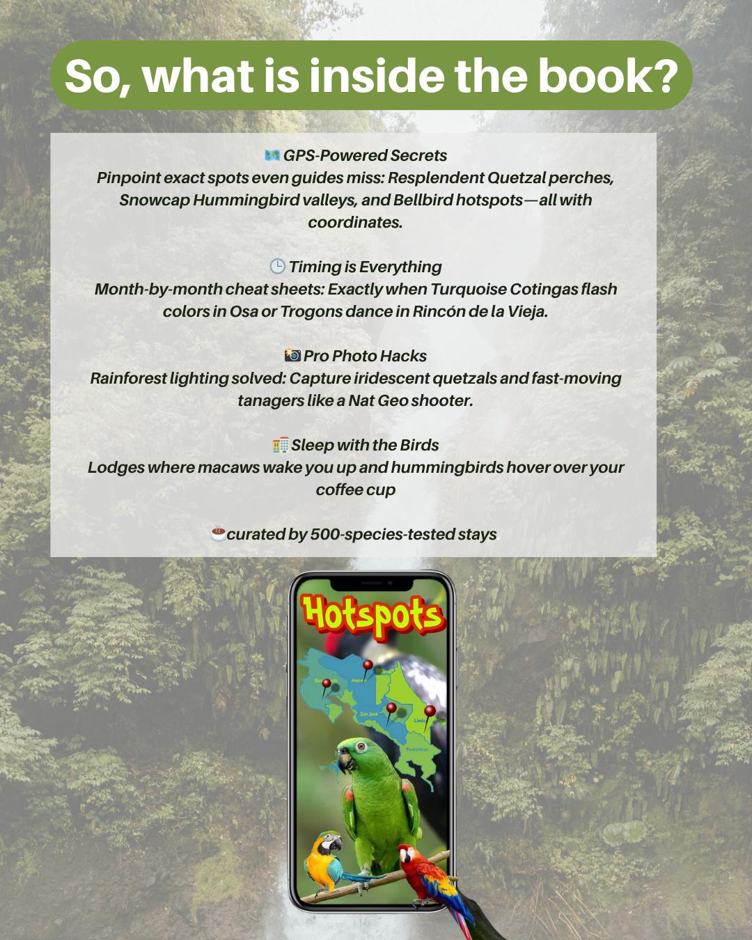 The Hidden Birds of Costa Rica: Your Ultimate Field Guide to Birding Paradise (Digital Guide)