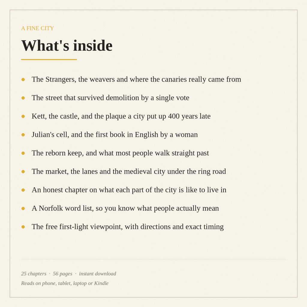 What is inside A Fine City, chapter list