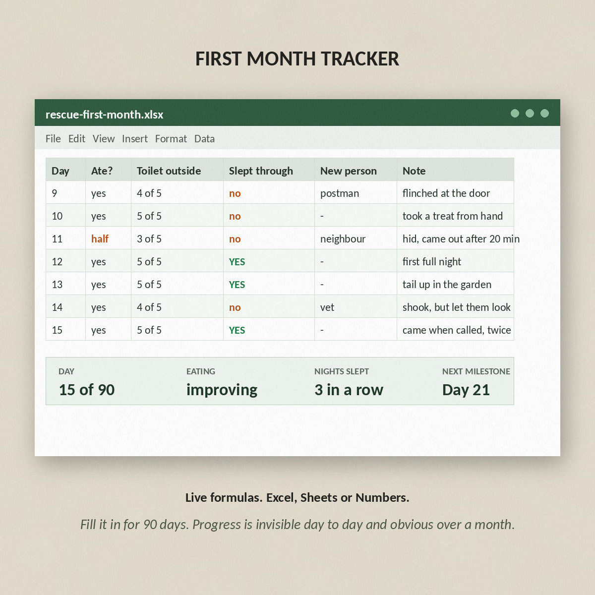The first month tracker spreadsheet