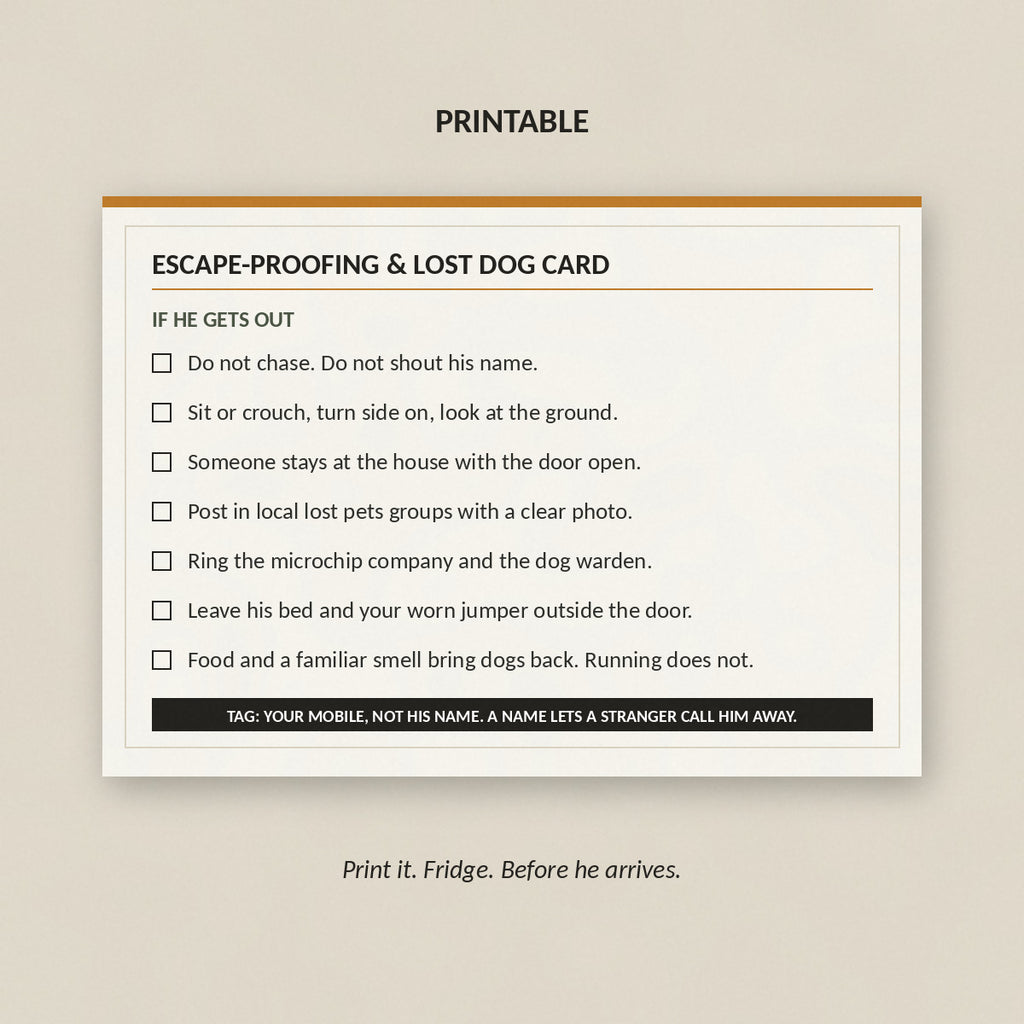 The printable escape-proofing and lost dog card