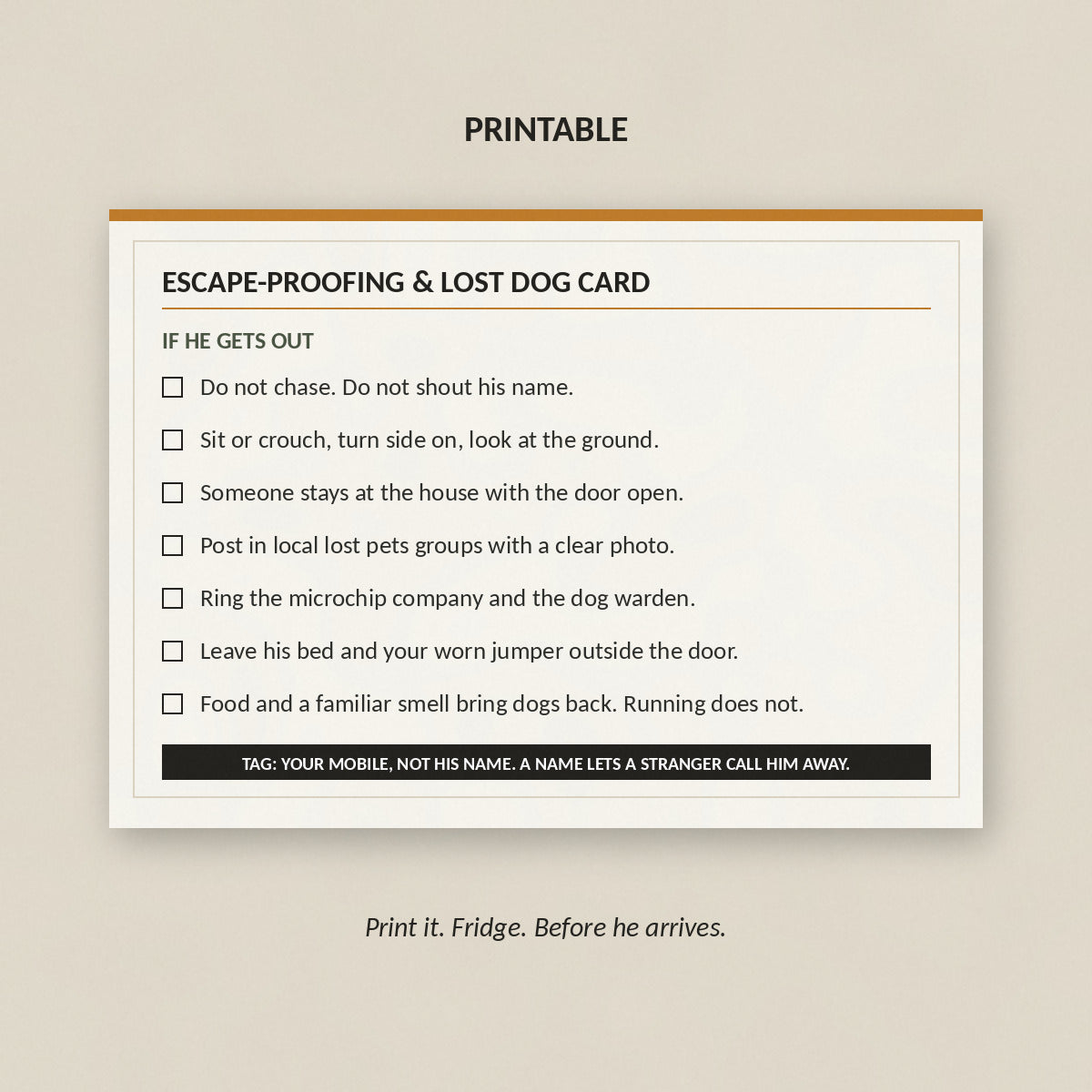 The printable escape-proofing and lost dog card